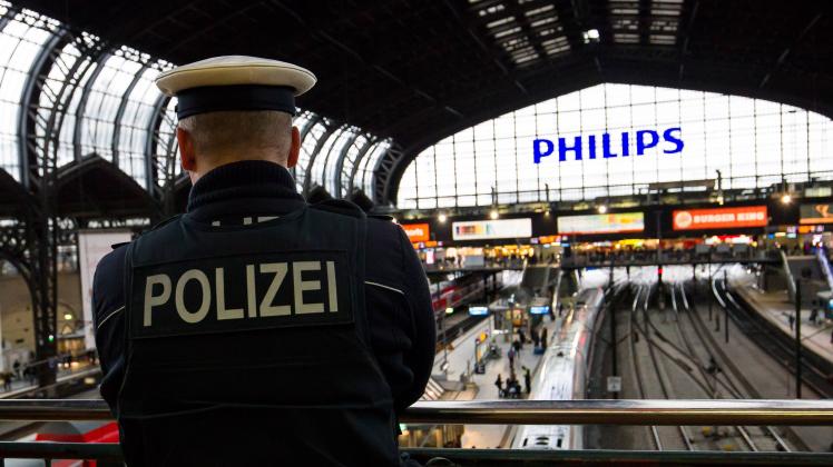 Polizeieinsatz Am Hamburger Hauptbahnhof Sorgt Für Verspätungen | SHZ