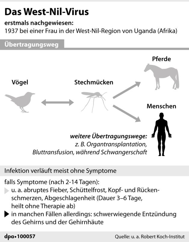 Das West-Nil-Virus (10.08.2022)