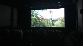 Greenscreen im Husumer Kino Center: Rund 200 Leserinnen und Leser der Husumer Nachrichten schaueen sich drei Naturfilme an und stimmten am Ende ab.