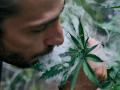 RECORD DATE NOT STATED A Caucasian man smoking near the large cannabis plant *** einer kaukasisch Mann rauchend nahe der