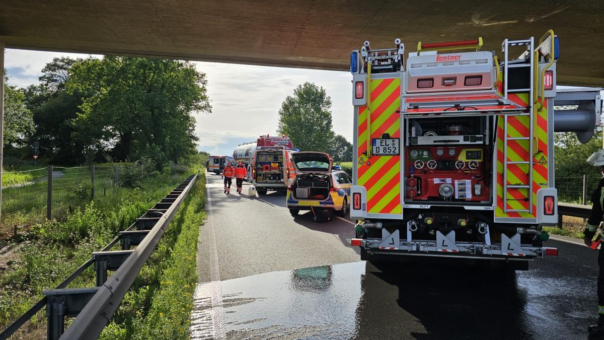 Zwei Tote: Lkw Und Auto Stoßen Auf B402 In Meppen Zusammen | NOZ