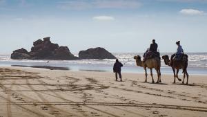 Kamelreiten am Strand