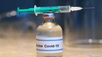 Spritze und Corona-Impfstoff syringe and Corona vaccine, Bundesrepublik Deutschland BLWS685647 *** Syringe and Corona Va