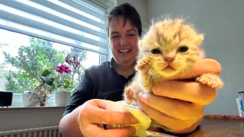 Katzenbaby Berta mit Panela Opitz vom Tierheim Melle