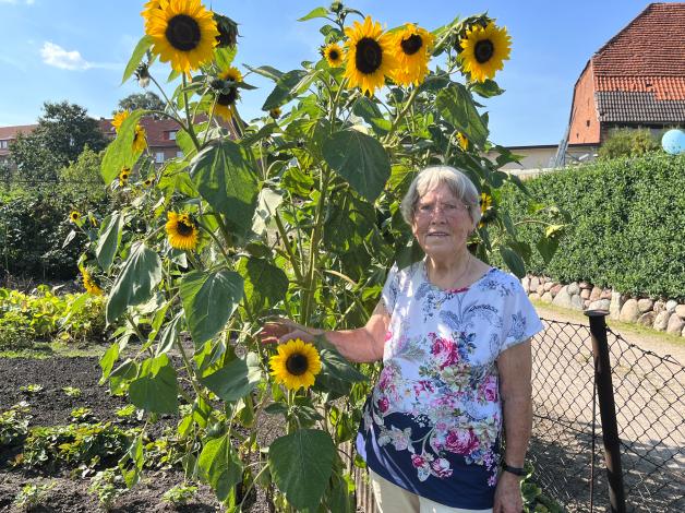 Kleingartenanlage Immergrün in Güstrow feiert 100. Geburtstag SVZ