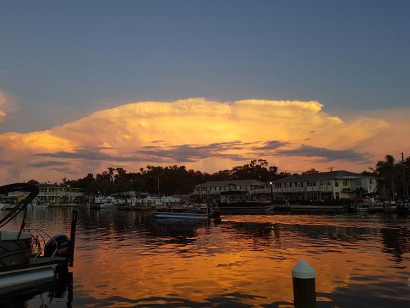 Homosassa, Florida Anton Schumacher