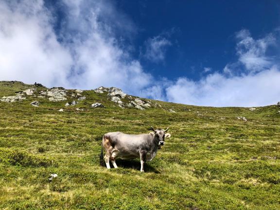 Serfaus in Österreich Miriam Meyenburg