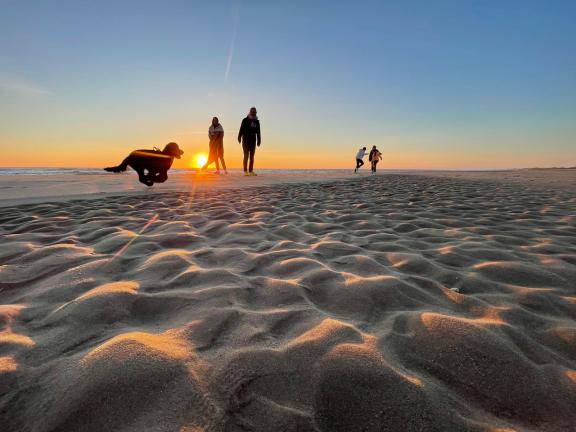 Strandfreuden bei Sonnenuntergang: Dierk Amelung fängt den fröhlichen Moment einer Familie ein, die mit ihrem Hund am Strand von Bergen an Zee in den Niederlanden spielt. Dierk Amelung