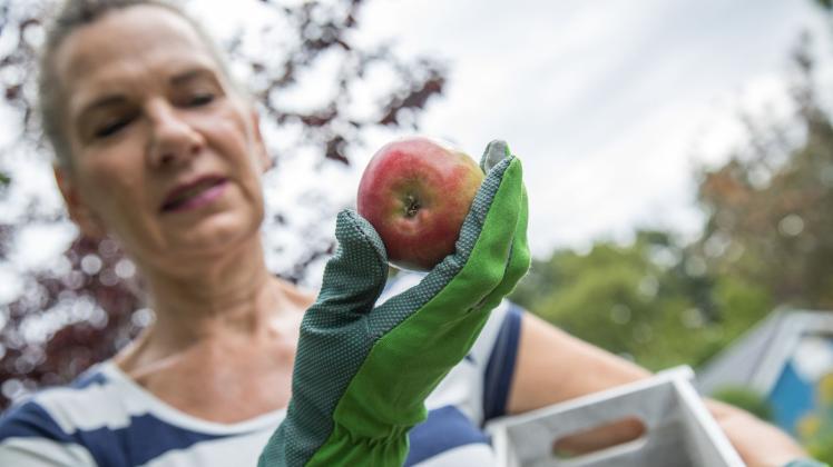Eine Frau begutachtet einen Apfel