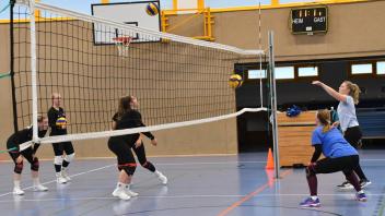 Volleyball Frauen MSV Pampow Training