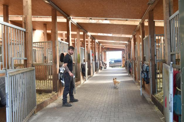 Die Ramm Ranch bringt das Westernreiten nach Stormarn | SHZ