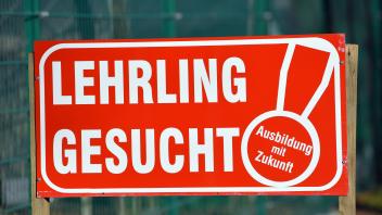 Lehrling gesucht