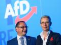 Fortsetzung AfD Europawahlversammlung