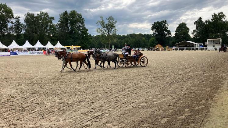Traditionell präsentieren sich bei den Redefiner Pferdetagen die Pferde auch vor den historischen Kutschen, die das Kutschenmuseum dem Gestüt für diesen Anlass zur Verfügung stellt