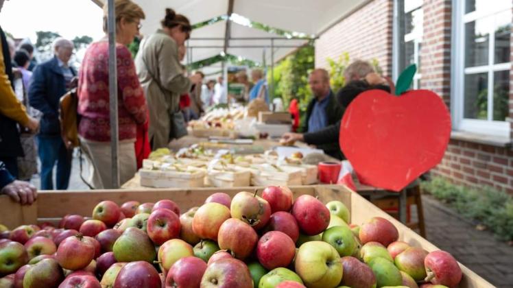 Das Apfelfest findet wieder statt: am 24. September dreht es sich in Clusorth-Bramhar um den Apfel.