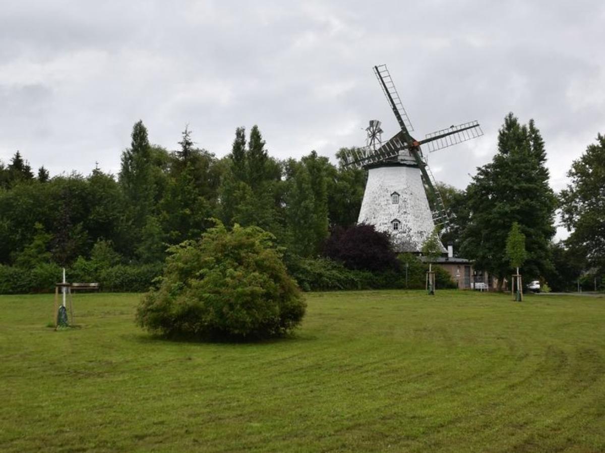 Dierkow und Toitenwinkel feiern Mühlenfest in Rostock | NNN
