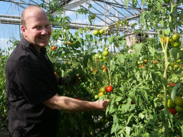 Gärtner Jan Rahe baut in Wellendorf besonders begehrte Tomaten an