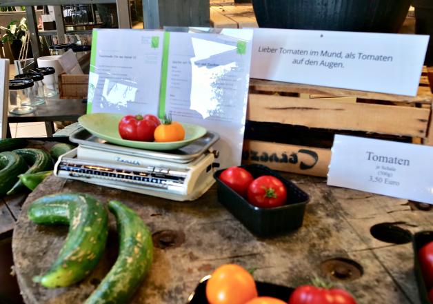Gärtner Jan Rahe baut in Wellendorf besonders begehrte Tomaten an