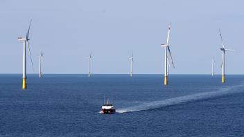Windpark - Offshore