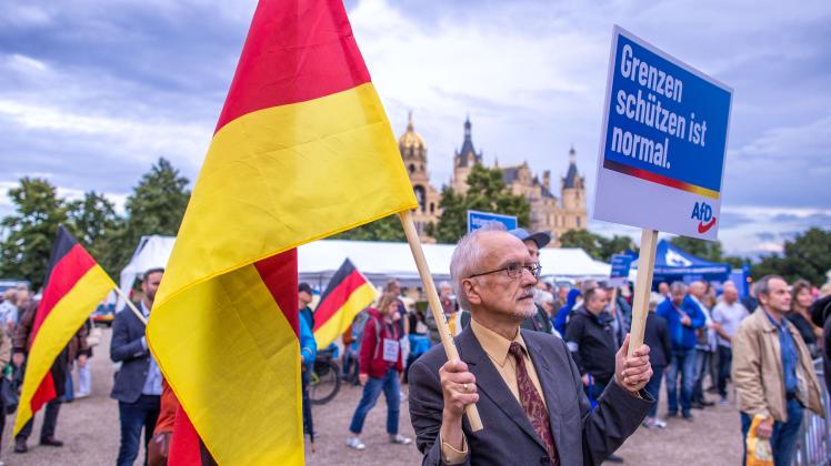 Forscher über Die Afd Warum Männer Eher Radikale Parteien Wählen Noz