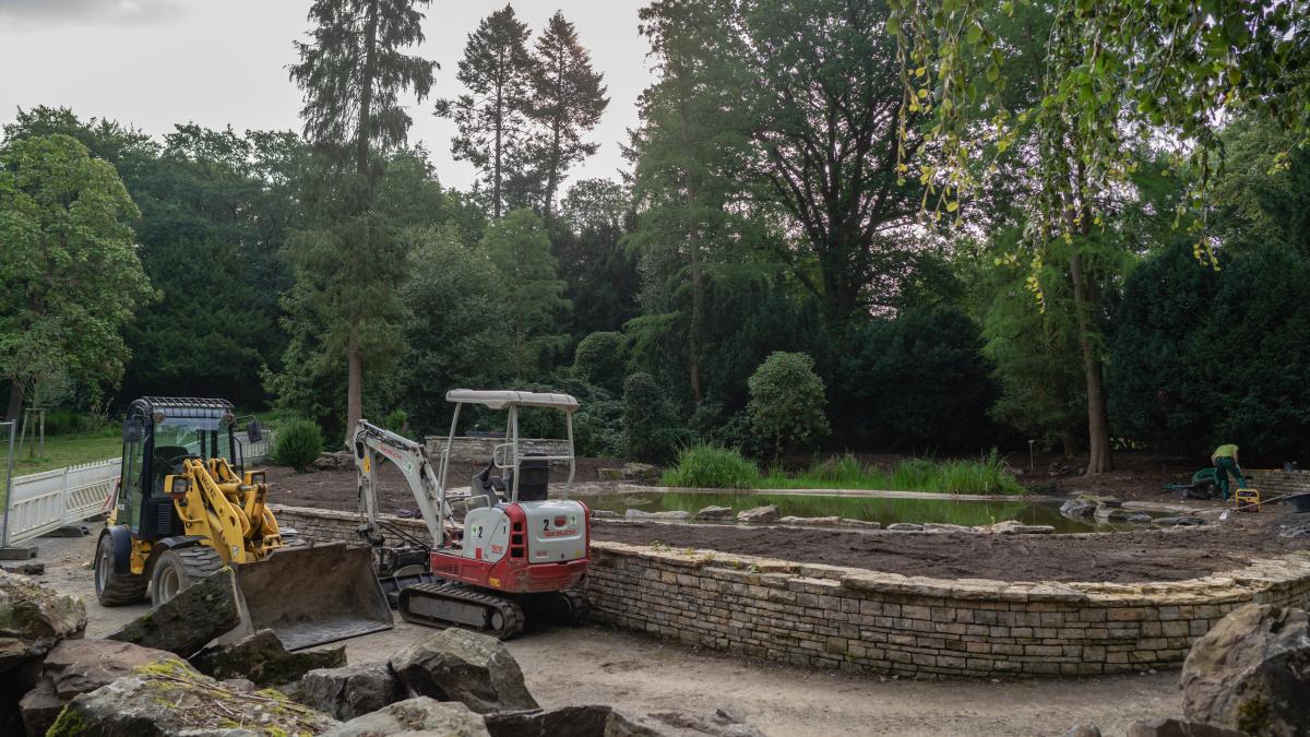 Teich im Bürgerpark in Osnabrück wird saniert