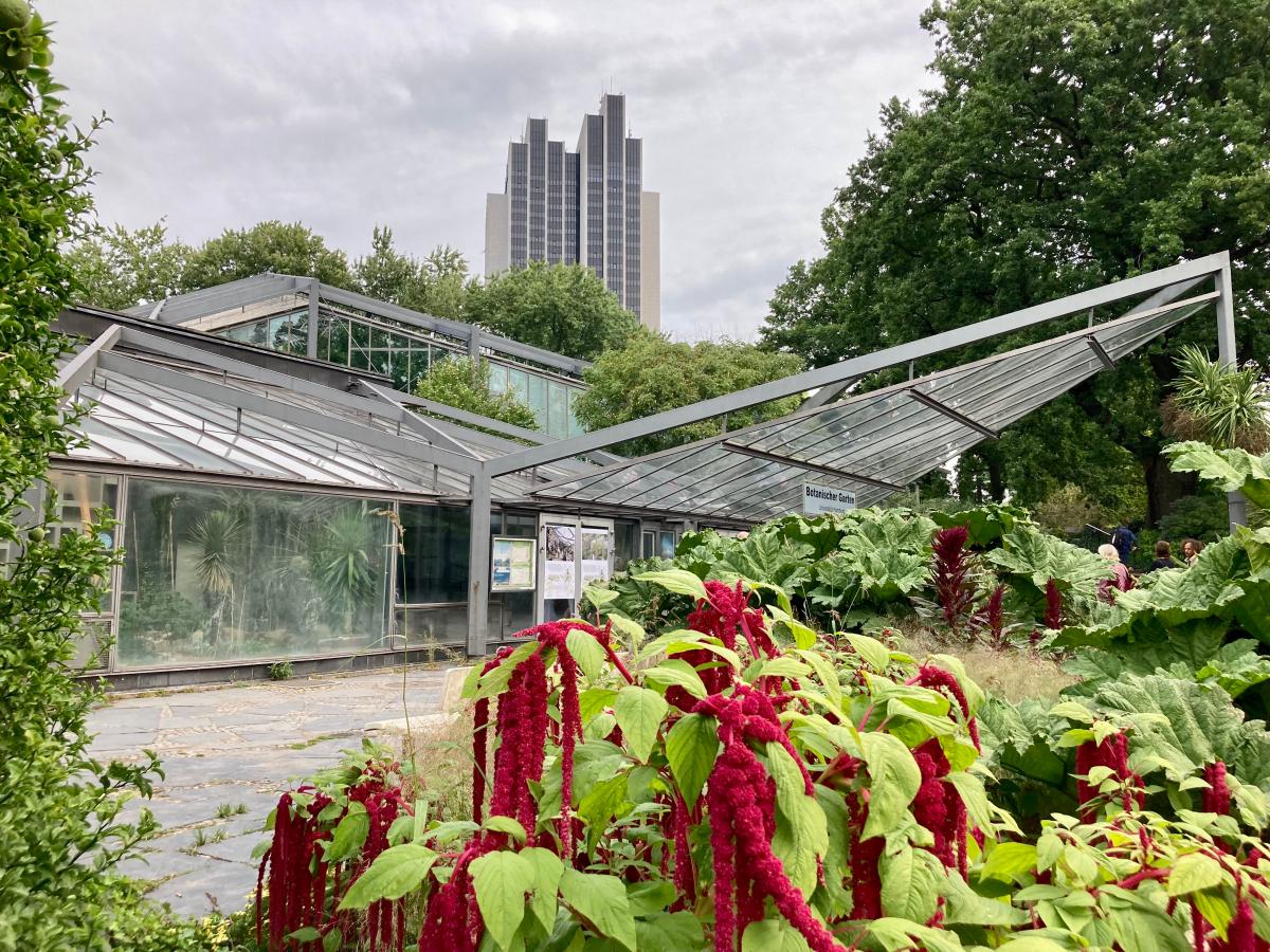 Hamburg saniert Tropengewchshuser in Planten un Blomen