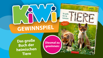 KiWi Gewinnspiel September 2023: Das große Buch der heimischen Tiere.