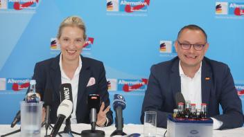 Pressekonferenz zur Klausurtagung der AfD-Bundestagsfraktion