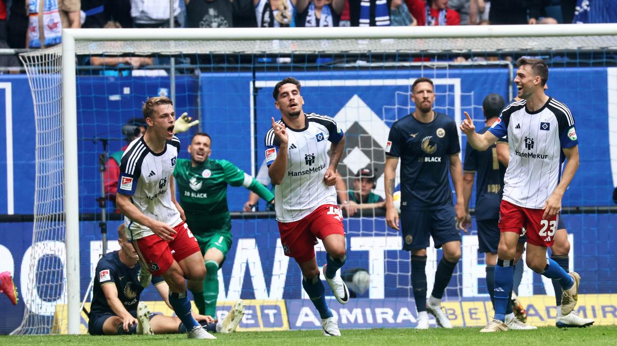 Hansa Rostock verliert mit 0:2 beim Hamburger SV | SVZ