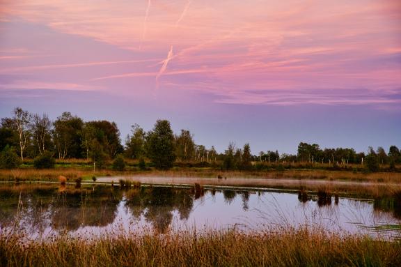 Die schönsten Sommerbilder aus dem Emsland