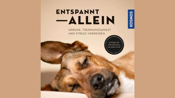 Buchcover «Entspannt - allein» Buchcover «Entspannt - allein»