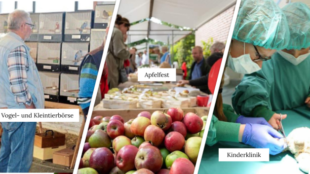 Im südlichen Emsland findet die Vogel- und Kleintierbörse, das Apfelfest und der Tag der Kinderklinik statt. Im südlichen Emsland findet die Vogel- und Kleintierbörse, das Apfelfest und der Tag der Kinderklinik statt.