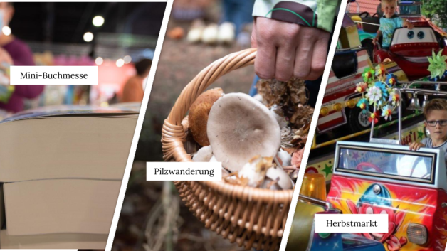 Im nördlichen Emsland findet eine Mini-Buchmesse, eine Pilzwanderung und der Werlter Herbstmarkt statt. Im nördlichen Emsland findet eine Mini-Buchmesse, eine Pilzwanderung und der Werlter Herbstmarkt statt.