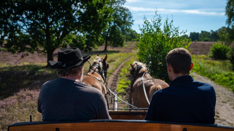 Weniger Kutschfahrten in der Lüneburger Heide