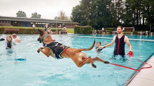 Hunde im Schwimmbad Hunde im Schwimmbad