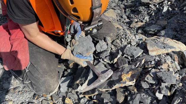 Bei den Fossilfunden handelt es sich um nicht mehr als unscheinbare Abdrücke, die im schwarzen Gestein zurückgeblieben sind. Bei den Fossilfunden handelt es sich um nicht mehr als unscheinbare Abdrücke, die im schwarzen Gestein zurückgeblieben sind.
