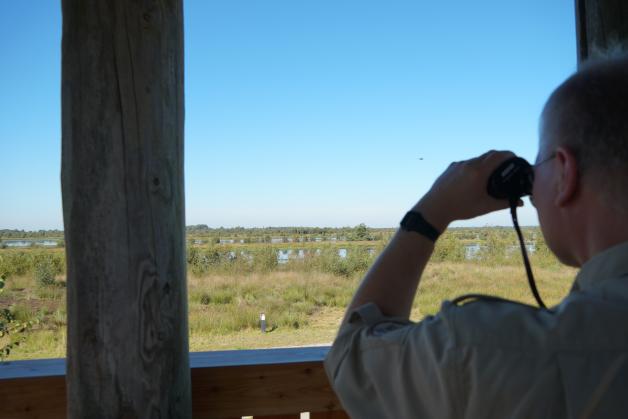 Mit dem Fernglas lassen sich vom Aussichtsturm aus besonders gut Vögel beobachten. 