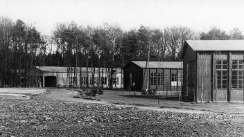 Die Baracken des einstigen Waldkrankenhauses in Bad Rothenfelde-Strang in den 50er Jahren