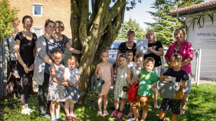 Jetzt gilt es, fleißig zu gießen. Die Kinder und Mitarbeiter der AWO Kita „Kinderland“ in Boizenburg sind Gießpaten für einen Baum auf ihrem Hof geworden.