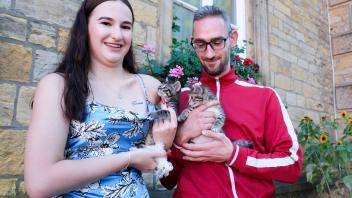 Osnabrücker Tafel: Fundkatzenbabys haben neue Besitzer