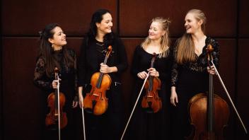 Elaia Quartett aus Berlin, Kammermusik