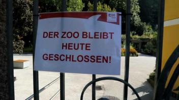 Nashorn tötet deutsche Pflegerin im Zoo - Kollege verletzt
