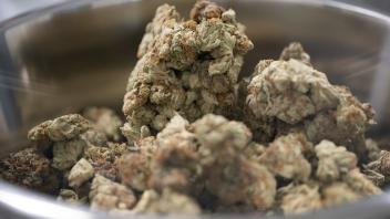 Vor Cannabis-Legalisierung