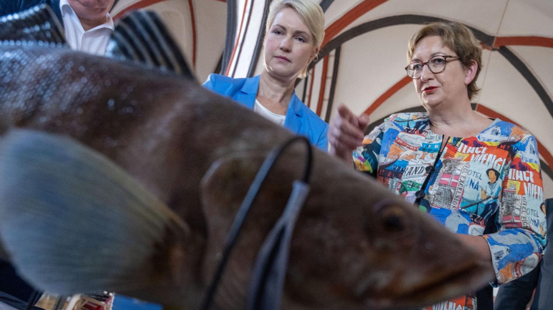 Es wird eng in Stralsunds Altstadt: Aquariumscheiben kommen 