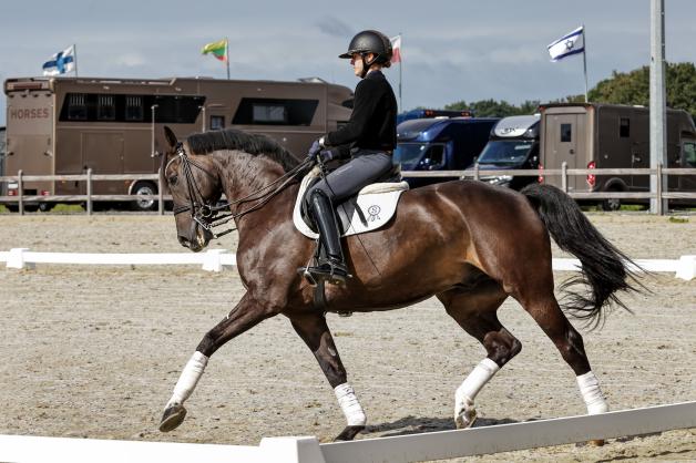 Anna und Evelyn reiten mehrere Pferde pro Tag und stellen diese auf Turnieren vor. Auch international.