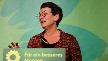 Landesparteitag Grüne Schleswig-Holstein