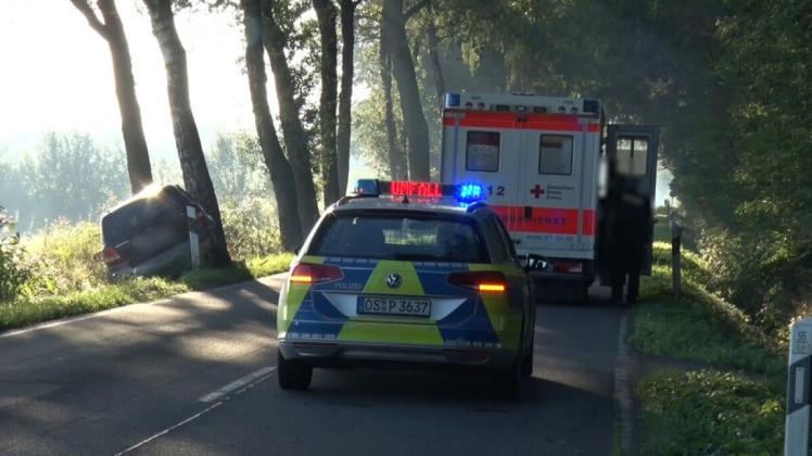 Autofahrer kommt in Bippen von der Straße ab und fährt gegen zwei Bäume