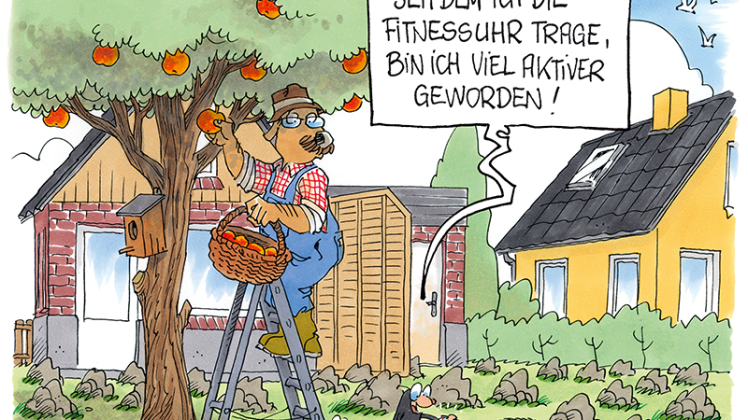 Fit in den Herbst