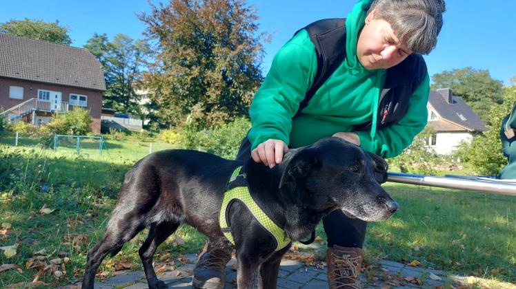 Nach einer Not-Operation ist Molly in der Obhut des Tierheim-Teams rund um Leiterin Meike Jaworski