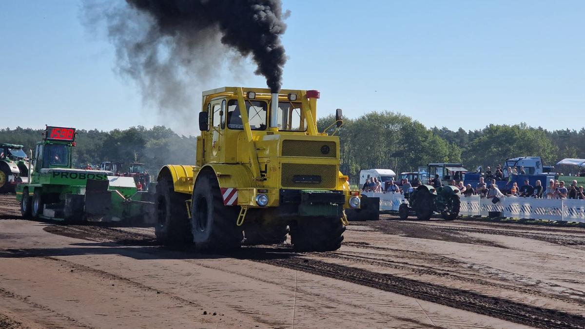 Trecker Treck 2023 in Lübtheen: Diese Traktoren gab es zu sehen | NNN
